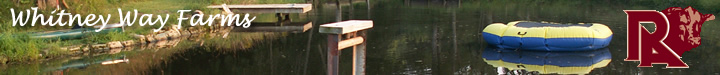 Contact Us Banner Image